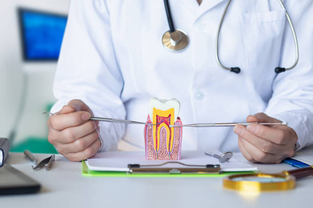 Best Emergency Root Canal Treatment in Manchester Center, VT